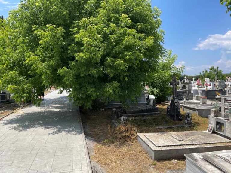Παράπονα πολιτών για το νεκροταφείο Μεγαλόπολης