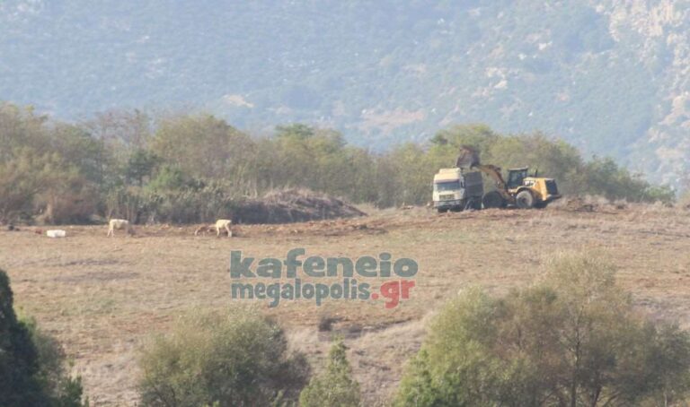 Στα ορυχεία της ΔΕΗ στη Μεγαλόπολη ξηλώνουν δένδρα για να βάλουν φωτοβολταϊκά!! (photo)